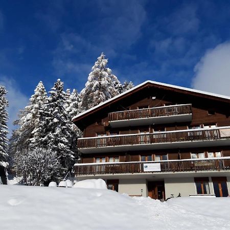 Larchenwald Lodge Bellwald Buitenkant foto