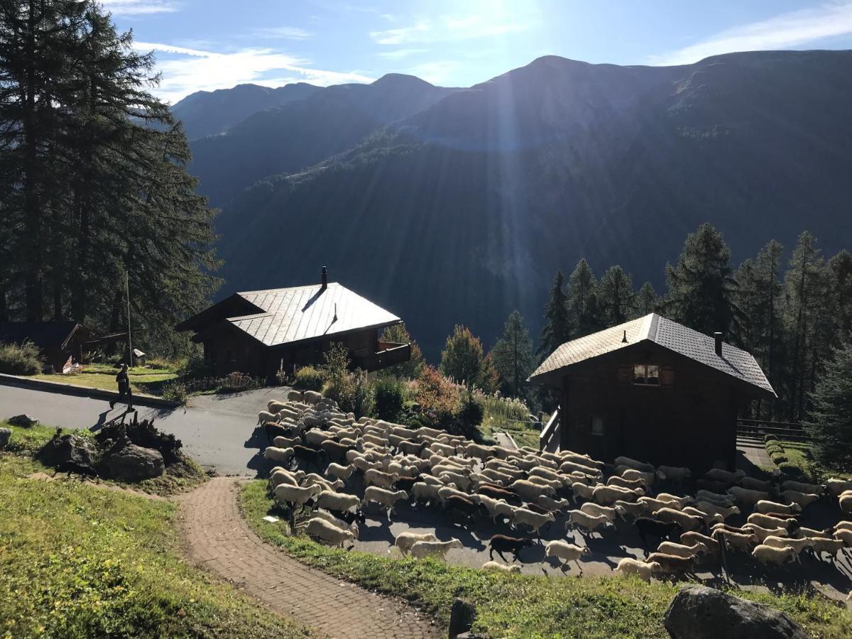 Larchenwald Lodge Bellwald Buitenkant foto